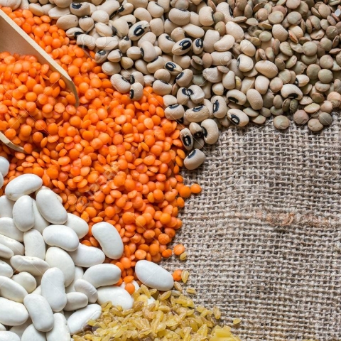 pulses